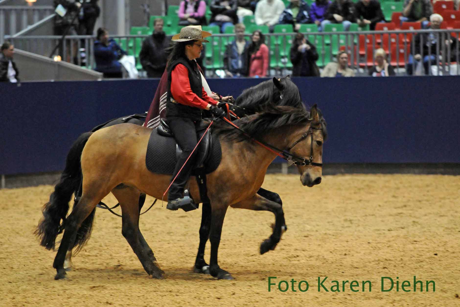 Mit der selbstgezogenen Staatsprämienstute Daria auf der Hansepferd 2012